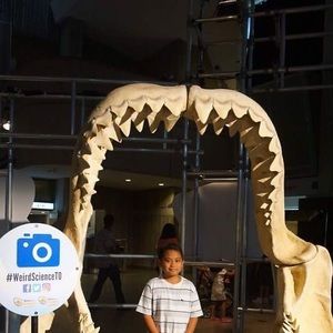 Meet your Posher, Brent andre